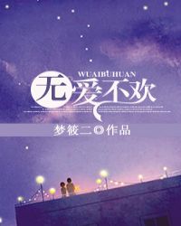 无爱不欢小说全文